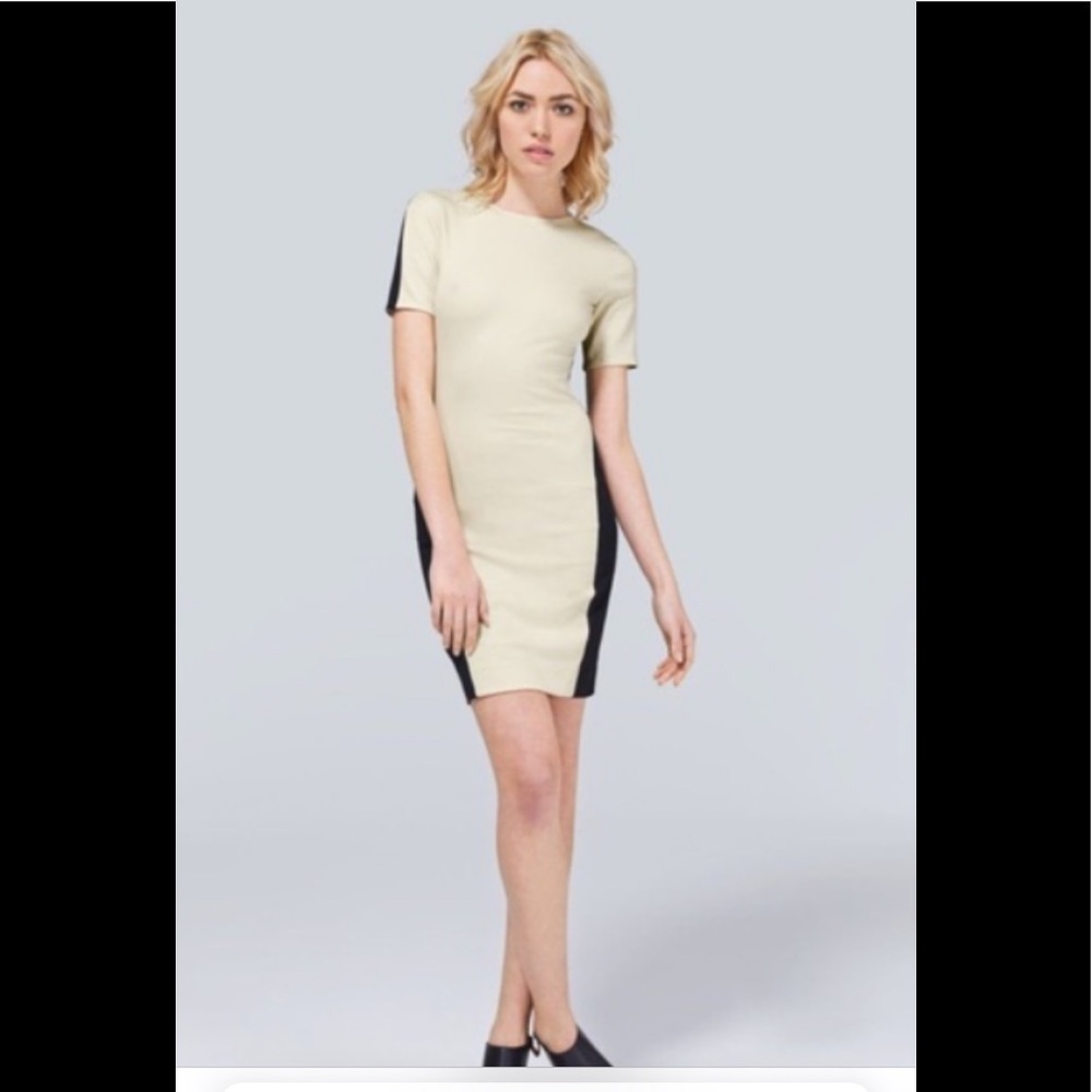 ⭐️HP⭐️ Aritzia  Bodycon dress- small